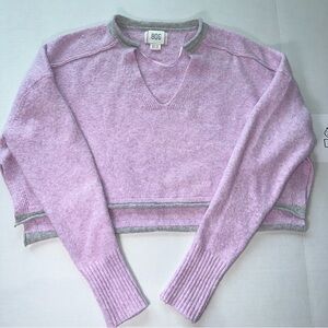Urban Outfitters BDG Pinkish Purple Cropped V-neck Sweater